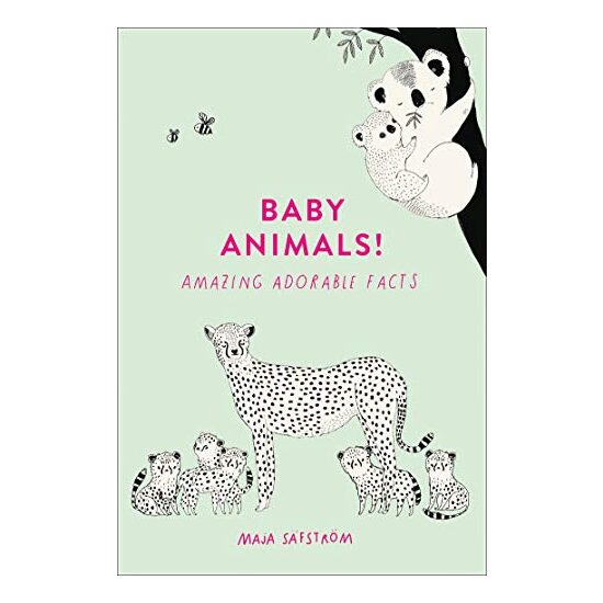 Baby Animals! - Imagine 1