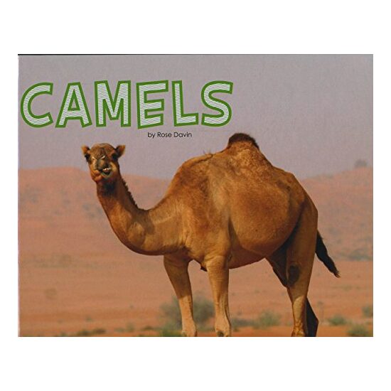 Camels
