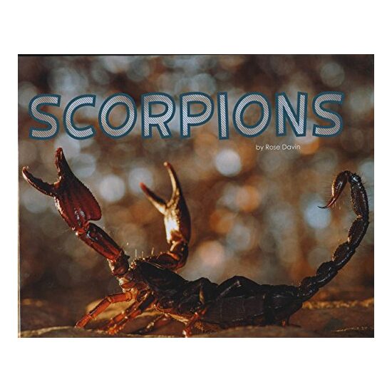 Scorpions - Imagine 1