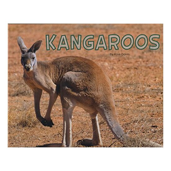 Kangaroos - Imagine 1