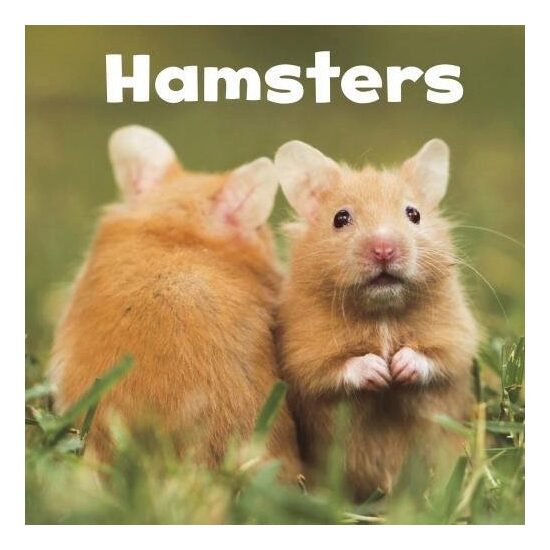 Hamsters - Imagine 1