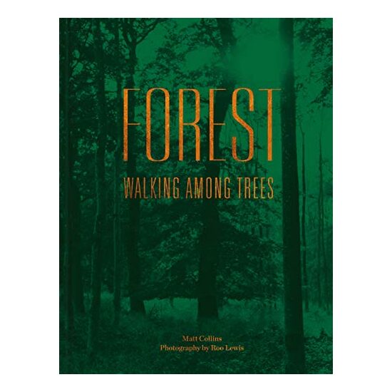 Forest: Walking Among Trees, Matt Collins, Roo Lewis - Imagine 1