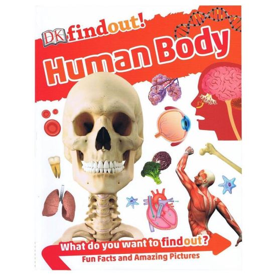 Dk Findout ! Human Body - Imagine 1