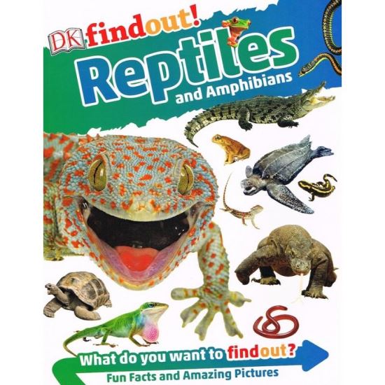 Dk Findout! Reptiles And Amphibians