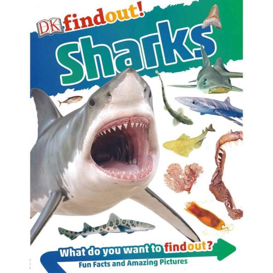 DK Findout! Sharks - Imagine 1