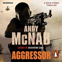 Aggressor