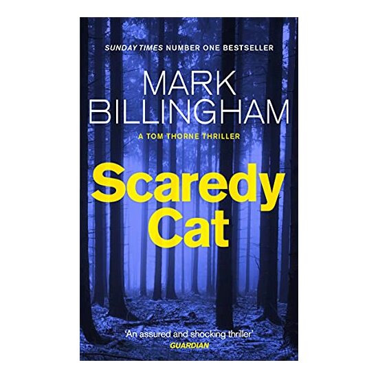 Scaredy Cat
