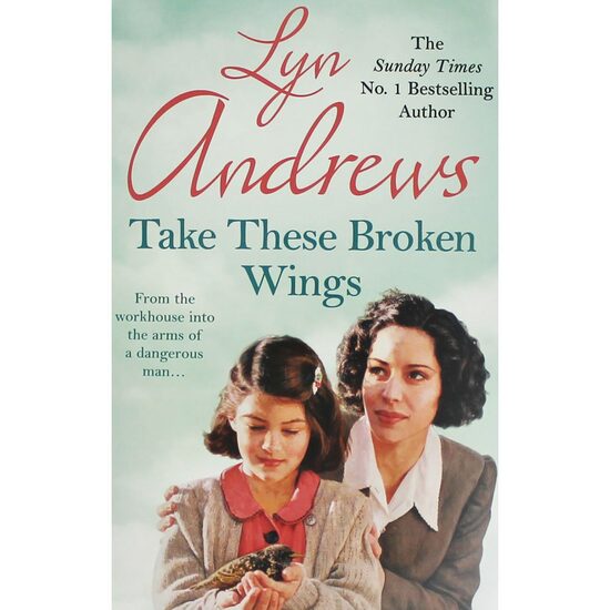 Take these Broken Wings - Imagine 1