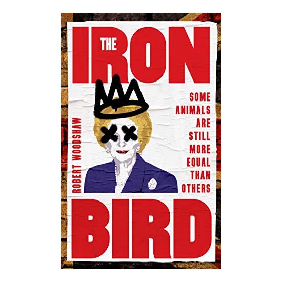 The Iron Bird - Imagine 1
