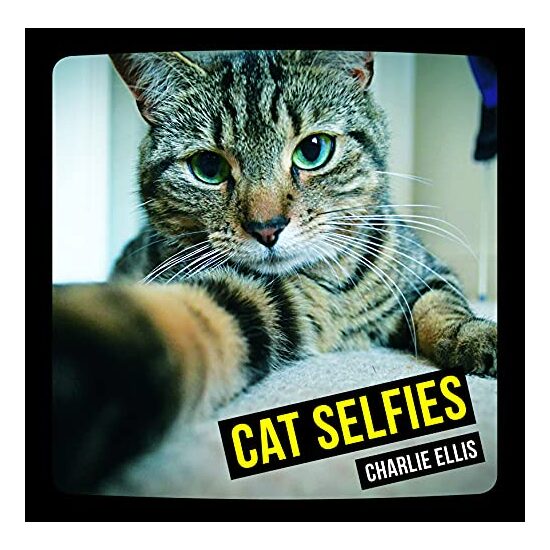 Cat Selfies