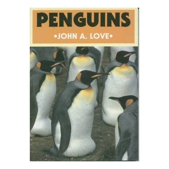 Penguins - Imagine 1
