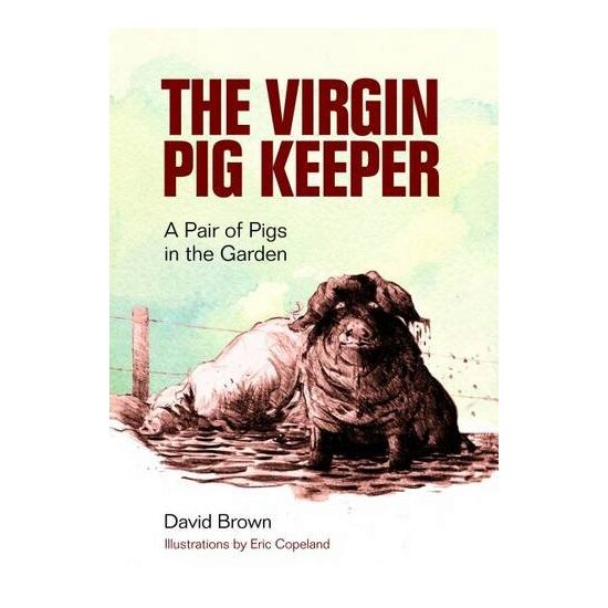 The Virgin Pig Keeper - Imagine 1