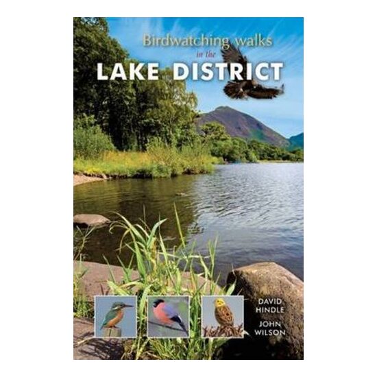 Birdwatching Walks in the Lake District