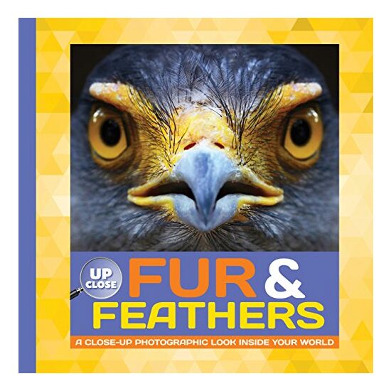 Fur & Feathers - Imagine 1