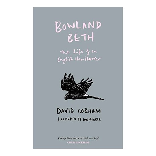 Bowland Beth - Imagine 1