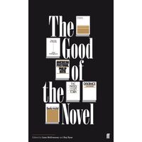 The Good of the Novel