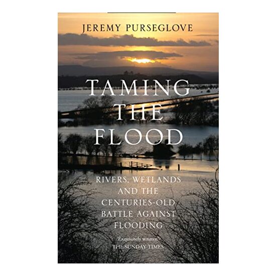 Taming the Flood - Imagine 1