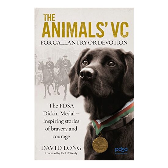 The Animals' VC - Imagine 1