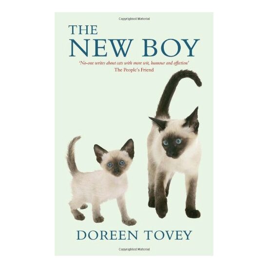 The New Boy