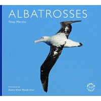Albatross