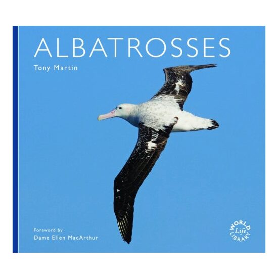 Albatross