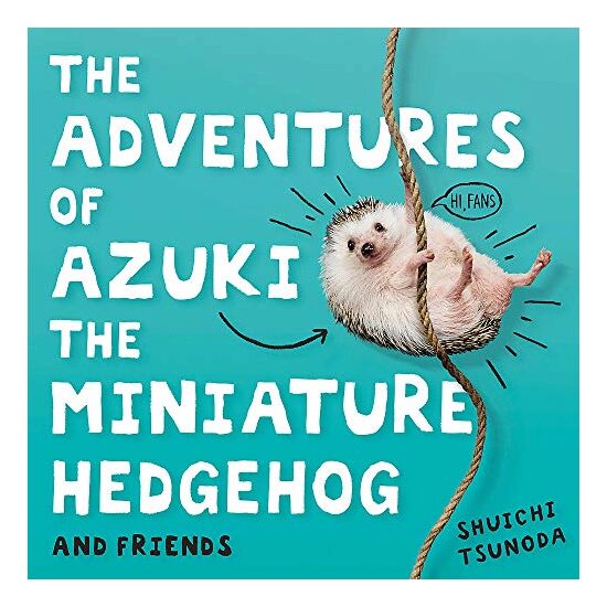 The Adventures of Azuki the Miniature Hedgehog, Shuichi Tsonoda