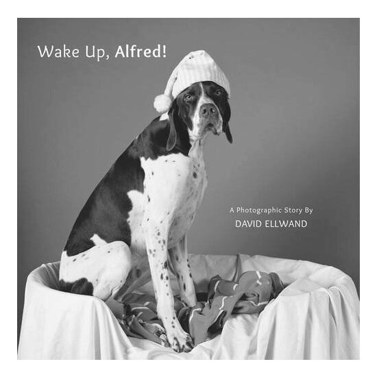 Wake Up, Alfred! - Imagine 1