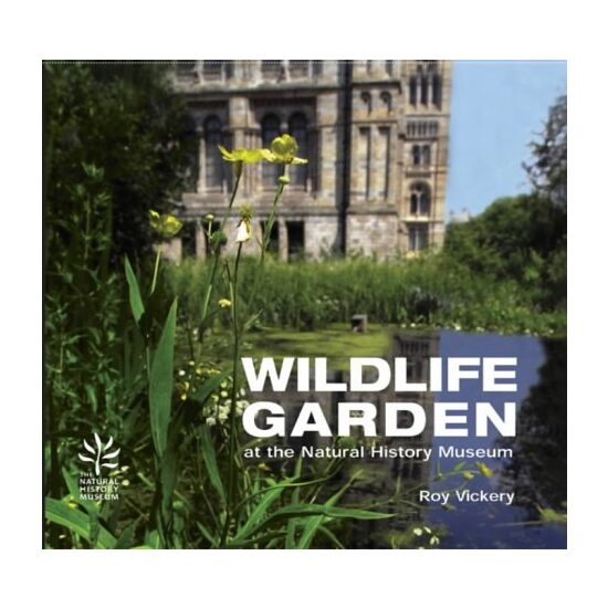 Wildlife Garden : At the Natural History Museum