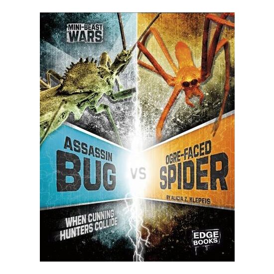Assassin Bug Vs Ogre-Faced Spider - Imagine 1