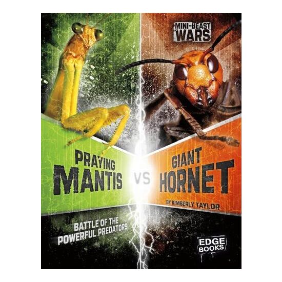 Praying Mantis Vs Giant Hornet - Imagine 1