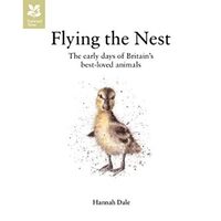 Flying the Nest 