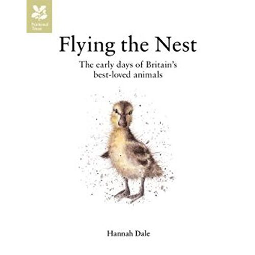 Flying the Nest