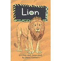 Solo Wildlife: Lion
