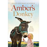 Amber's Donkey