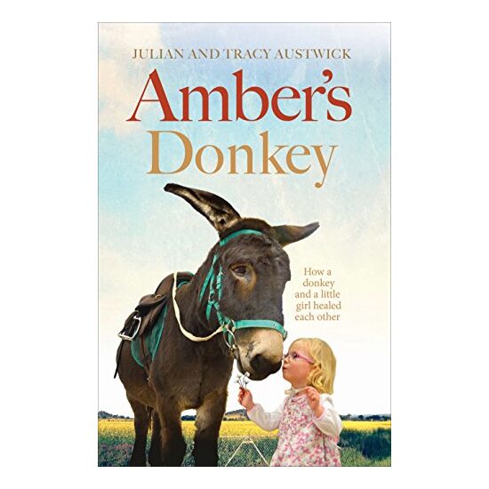 Amber's Donkey - Imagine 1
