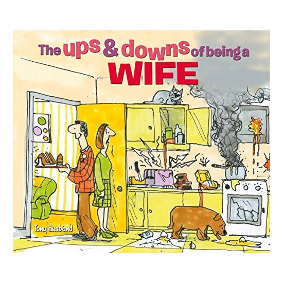 Ups & Downs Of Being A Wife, Tony Husband