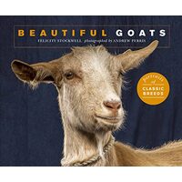 Beautiful Goats