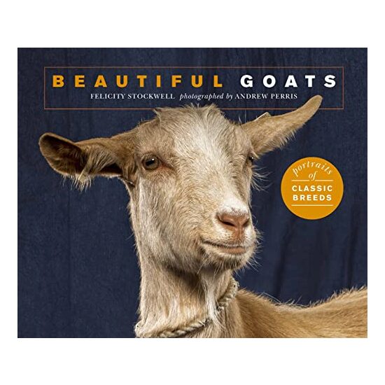 Beautiful Goats