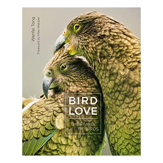 Bird Love