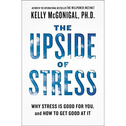 Upside of Stress, Kelly Fletcher