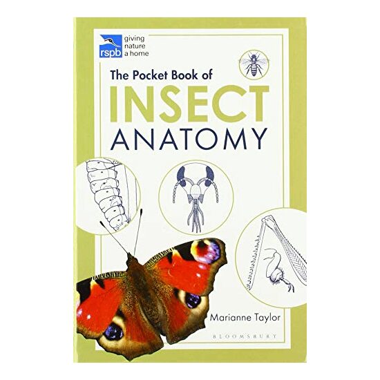 RSPB Pocket Book of Insect Anatomy