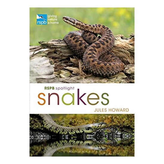 RSPB Spotlight Snakes - Imagine 1
