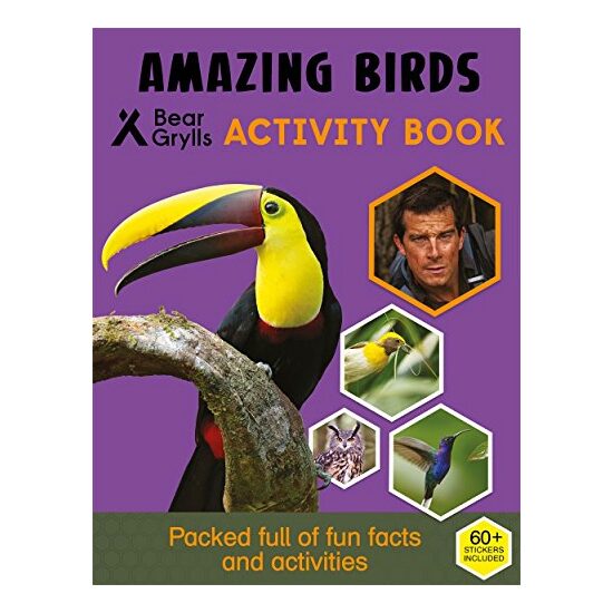 Bear Grylls Activity Series - Imagine 1