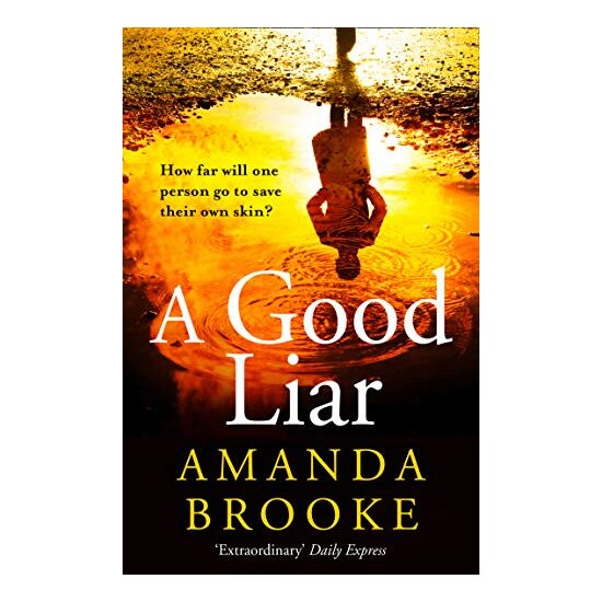 Amanda Brooke A Good Liar - Imagine 1