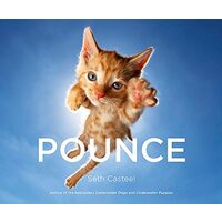 Pounce