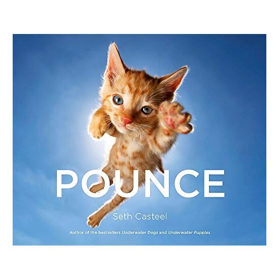 Pounce - Imagine 1