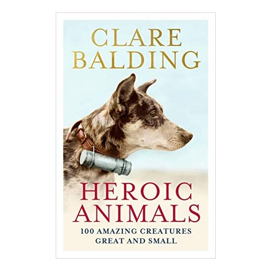 Heroic Animals - Imagine 1