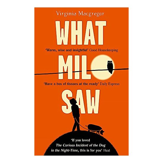 What Milo Saw - Imagine 1