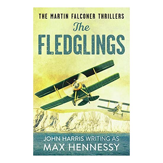 Fledglings - Imagine 1