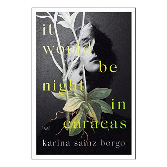 It Would Be Night in Caracas, Karina Sainz Borgo, Beth Bryer